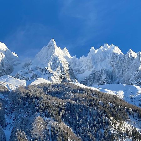 Chamonix superbe appartement vue Mont Blanc Exterior foto