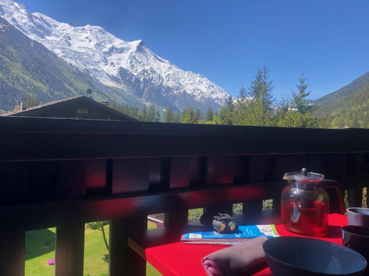 Chamonix superbe appartement vue Mont Blanc Exterior foto